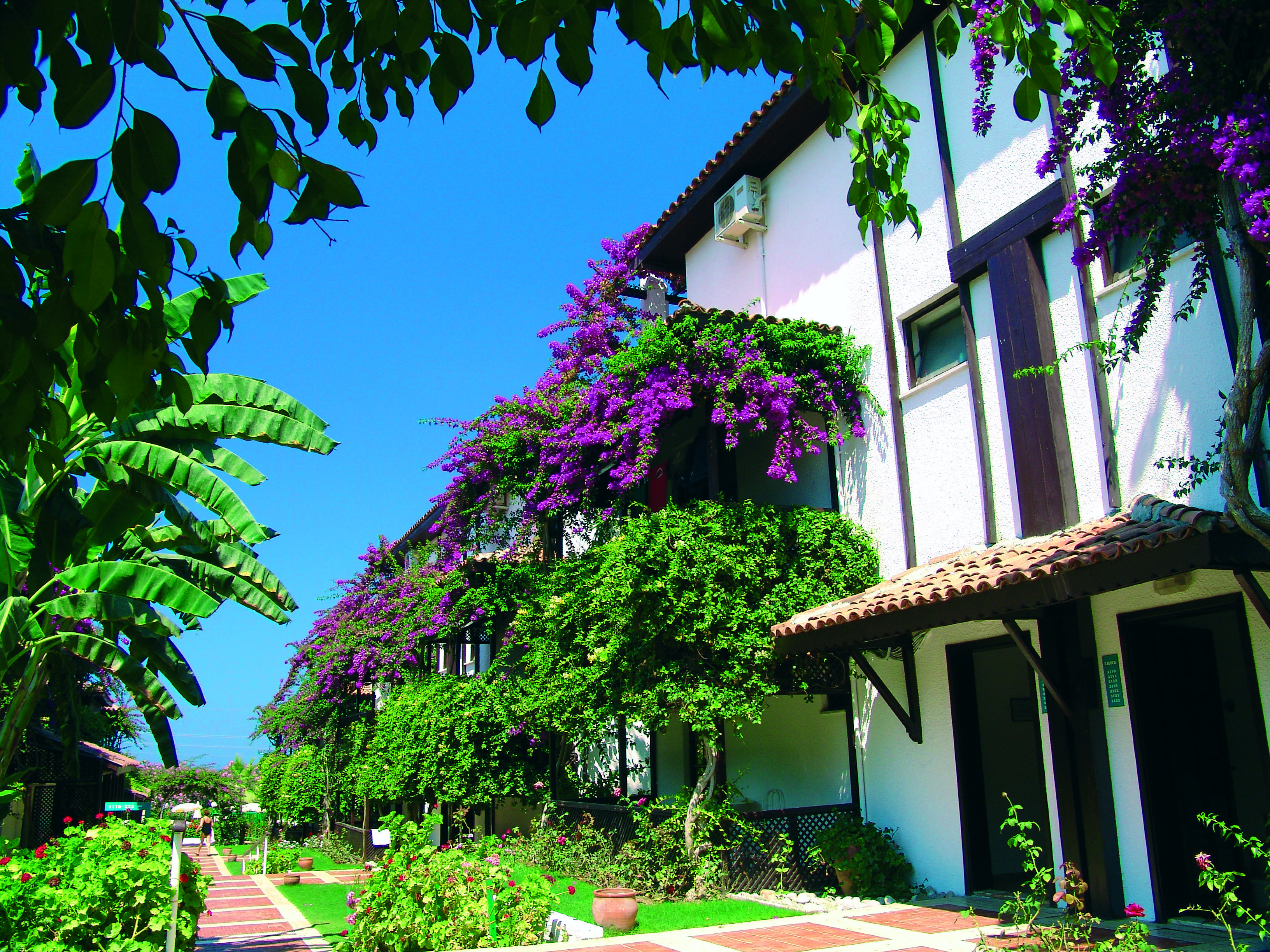 קרגיג'ק Titan Club Hotel Ultra All Inclusive מראה חיצוני תמונה